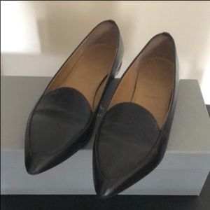 Barely Worn Everlane The Modern Point Flats
